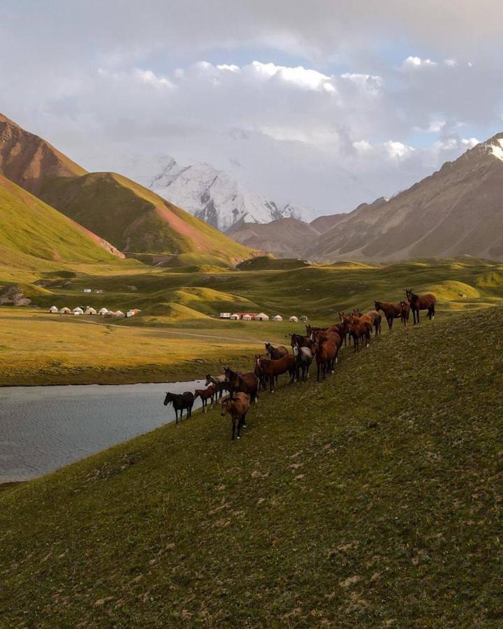 Pamir Nomad Yurt Camp Otel Kara-Kavak Dış mekan fotoğraf