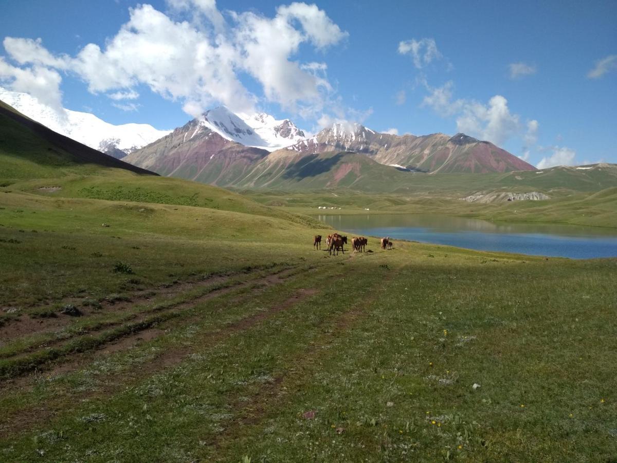 Pamir Nomad Yurt Camp Otel Kara-Kavak Dış mekan fotoğraf