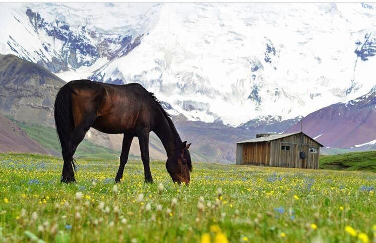 Pamir Nomad Yurt Camp Otel Kara-Kavak Dış mekan fotoğraf